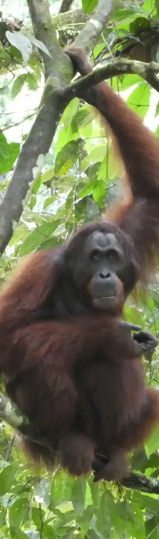 Besucher zur Begrüssung